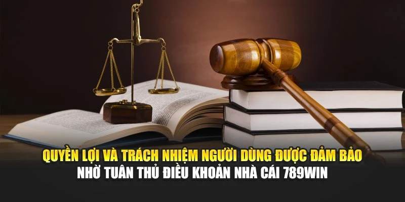 Quyền lợi và trách nhiệm người dùng được đảm bảo nhờ tuân thủ điều khoản nhà cái 789Win